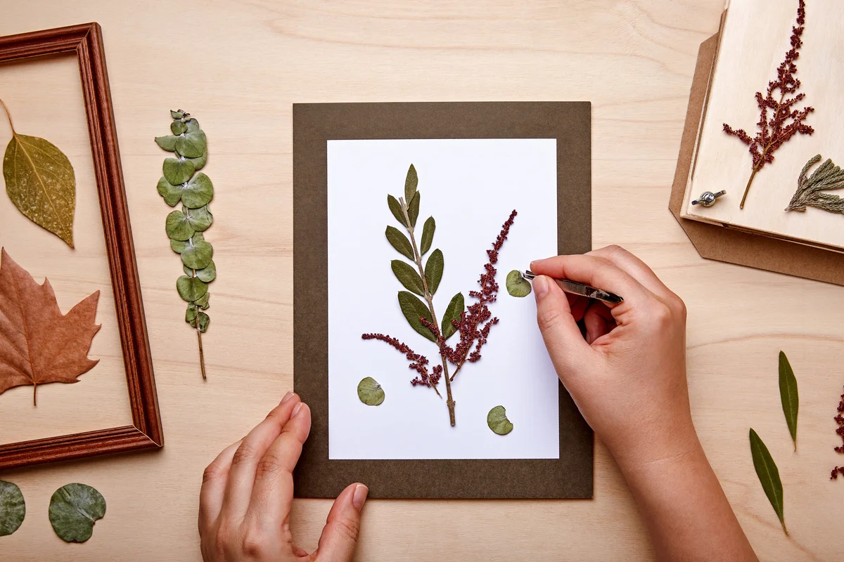 Woman making pressed flower art in old picture frames