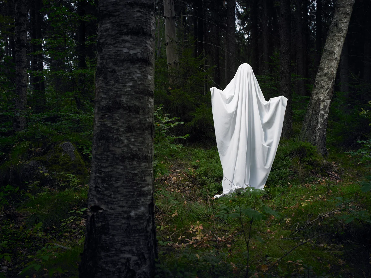 Ghost on a rock in the woods