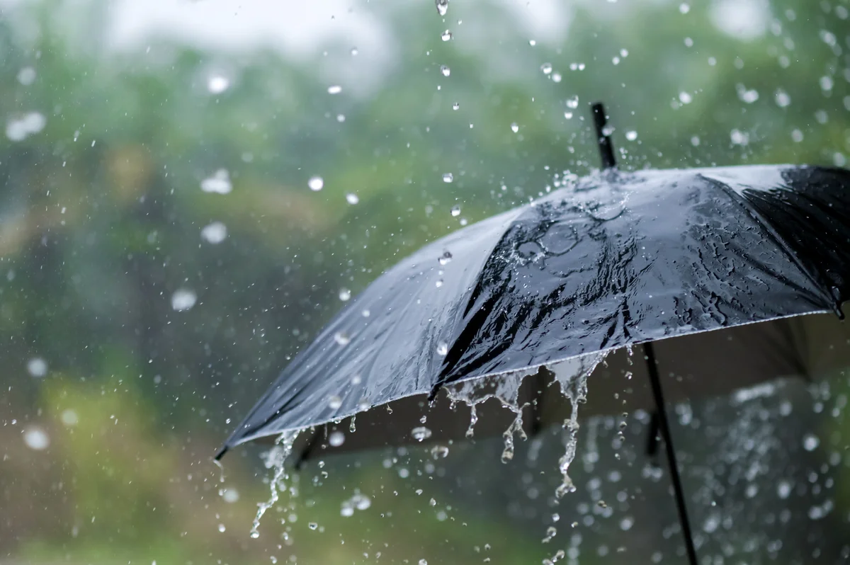 Rain falling on an umbrella