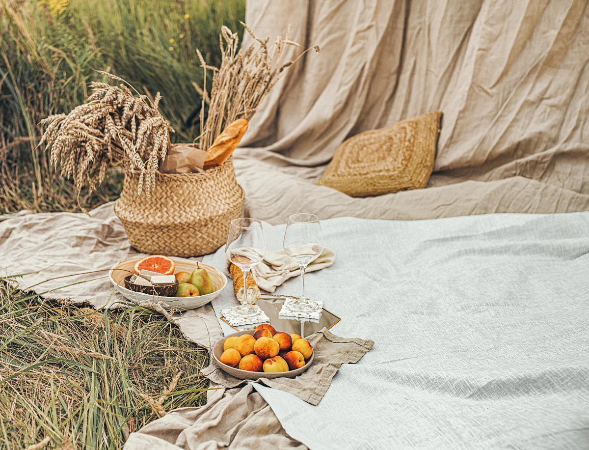 A neutral colored picnic setting