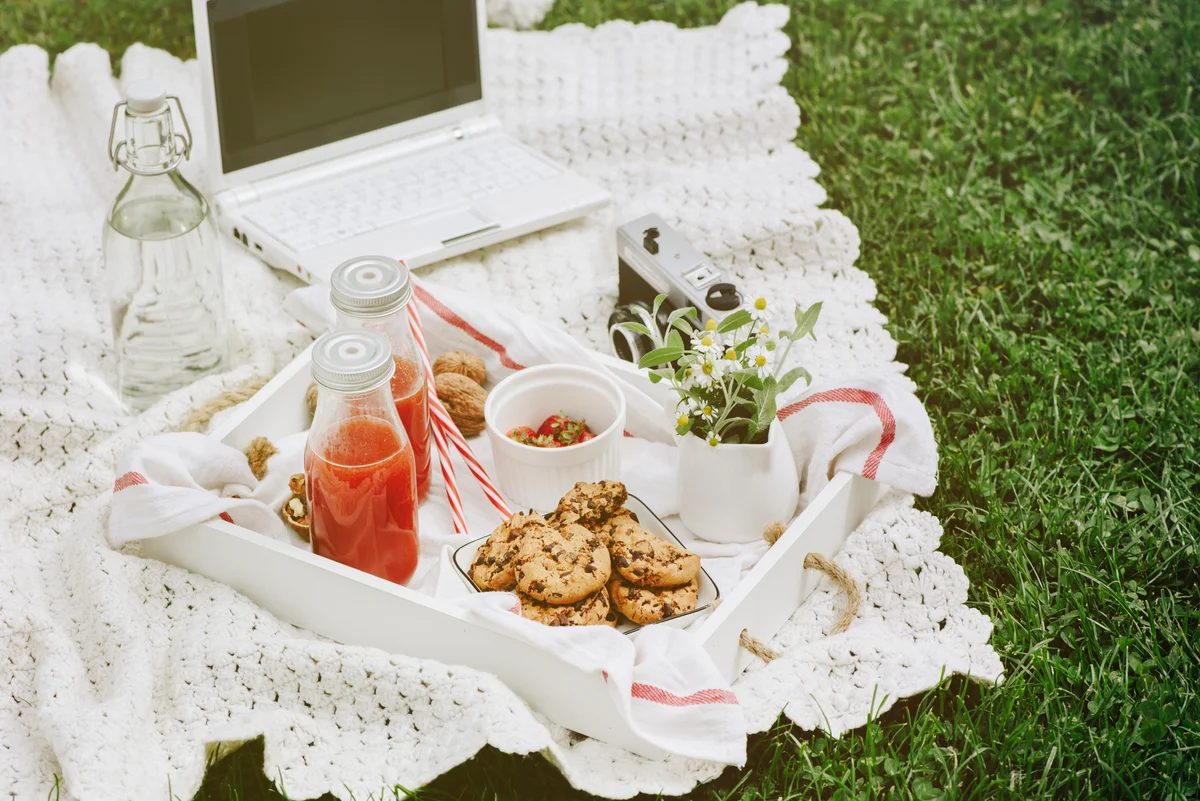 Styled picnic food