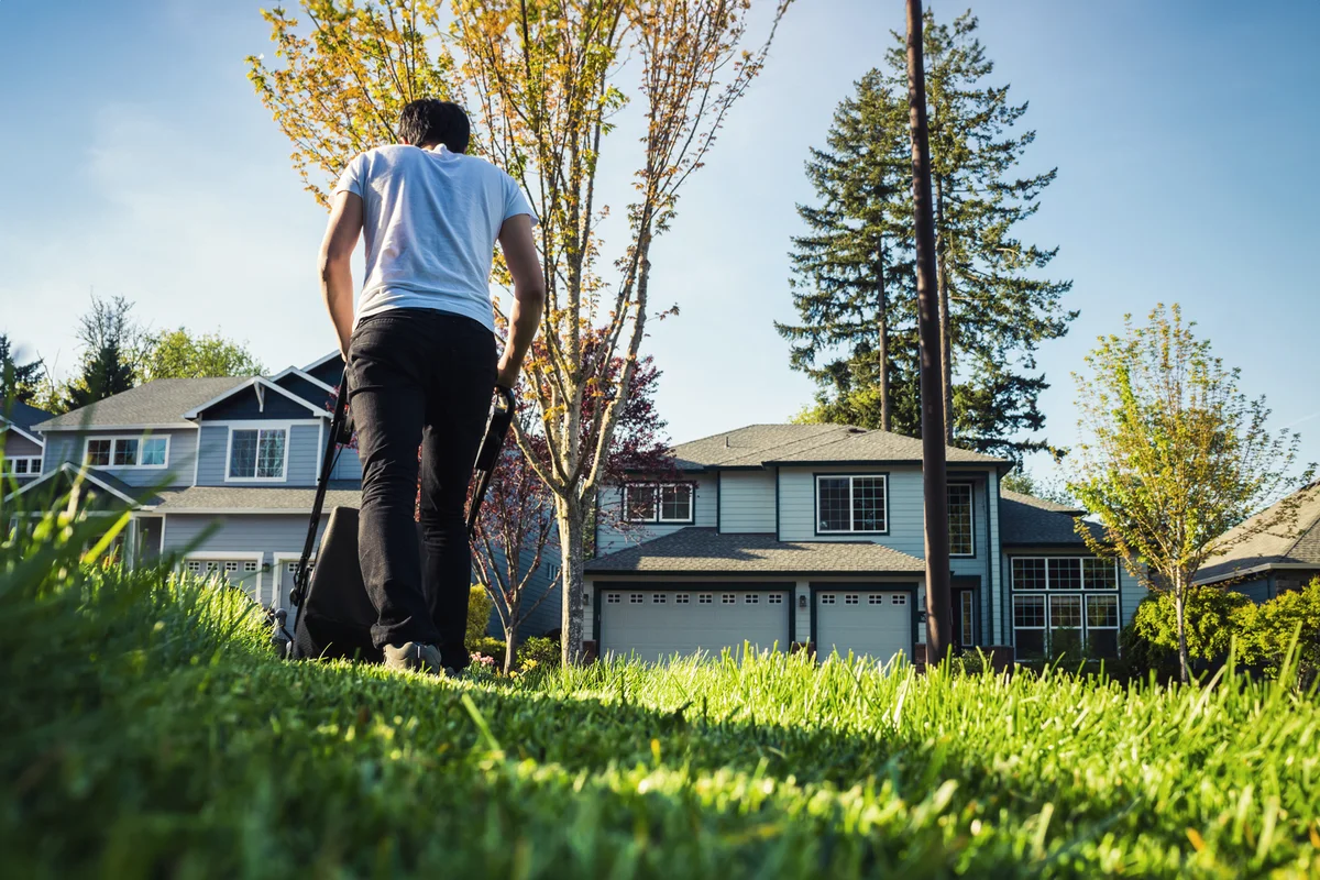 Mowing The Lawn