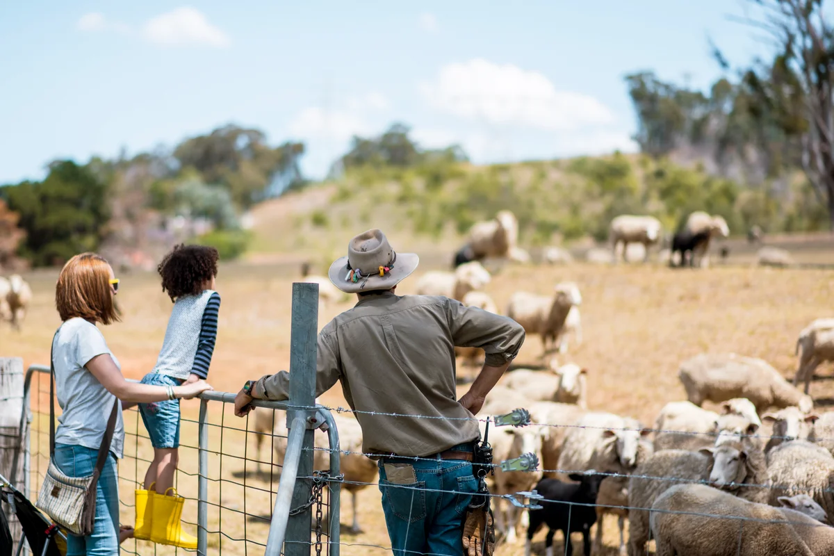 Farm worker showing the farm to a family