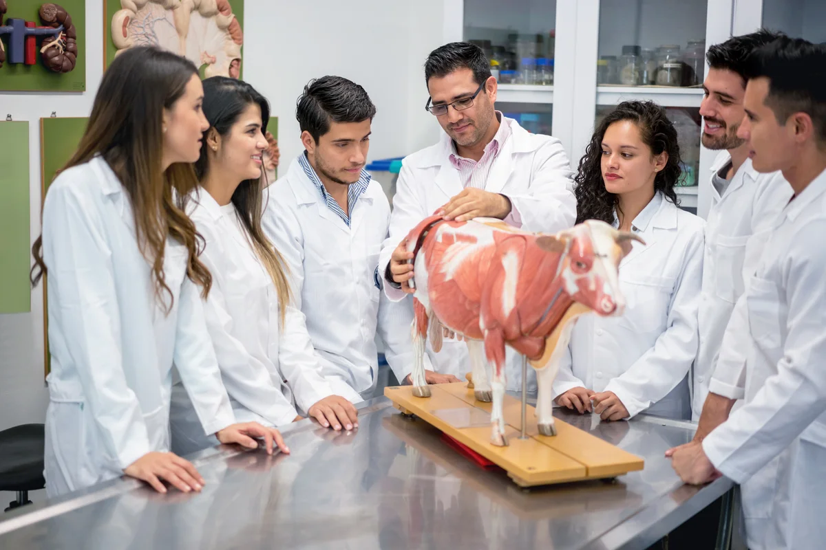 Group of veterinary students in an anatomy class