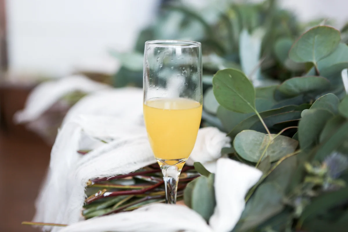 Mimosa along with greenery