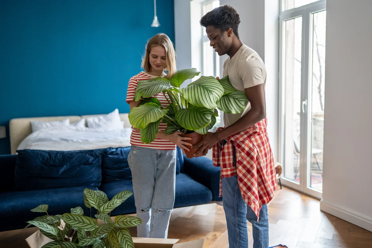 Couple holding beautiful calathea plant