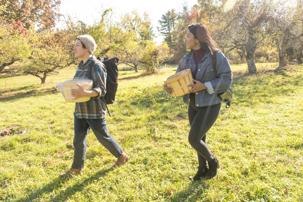 women apple picking