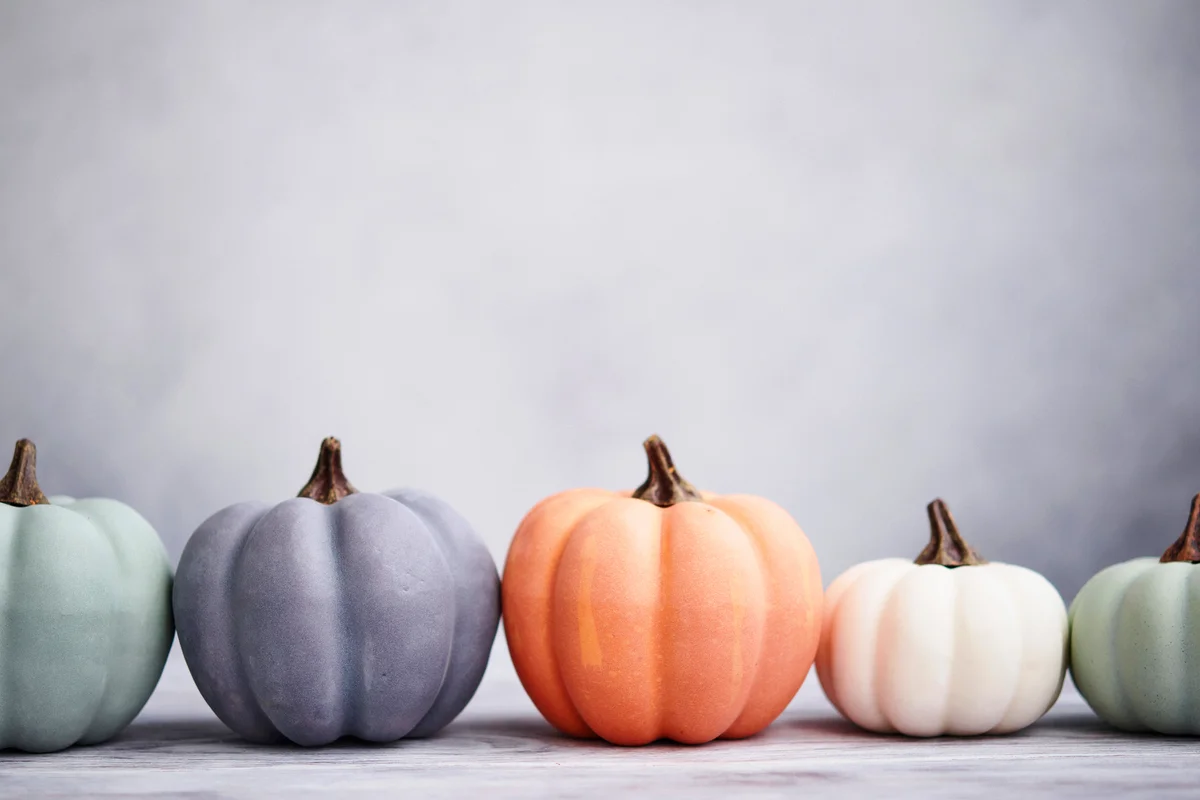 Pastel Colored Pumpkins Decoration