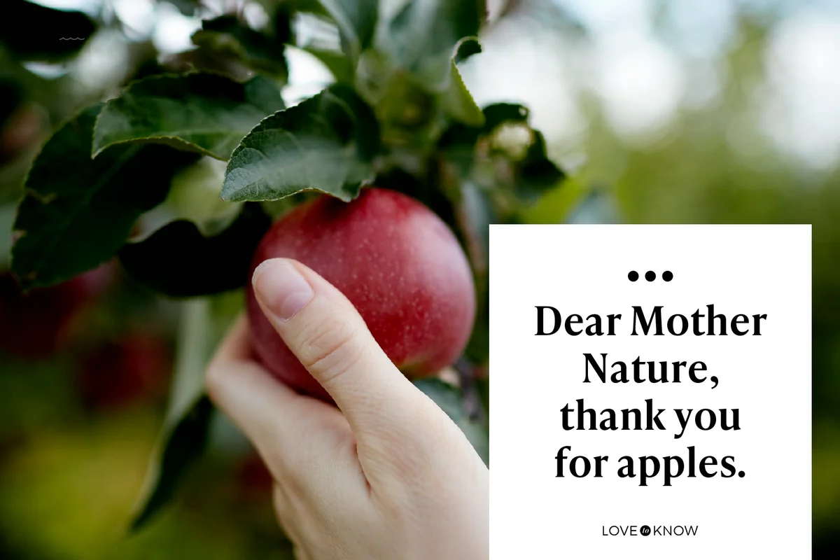 Hand reaching up and picking a red ripe apple