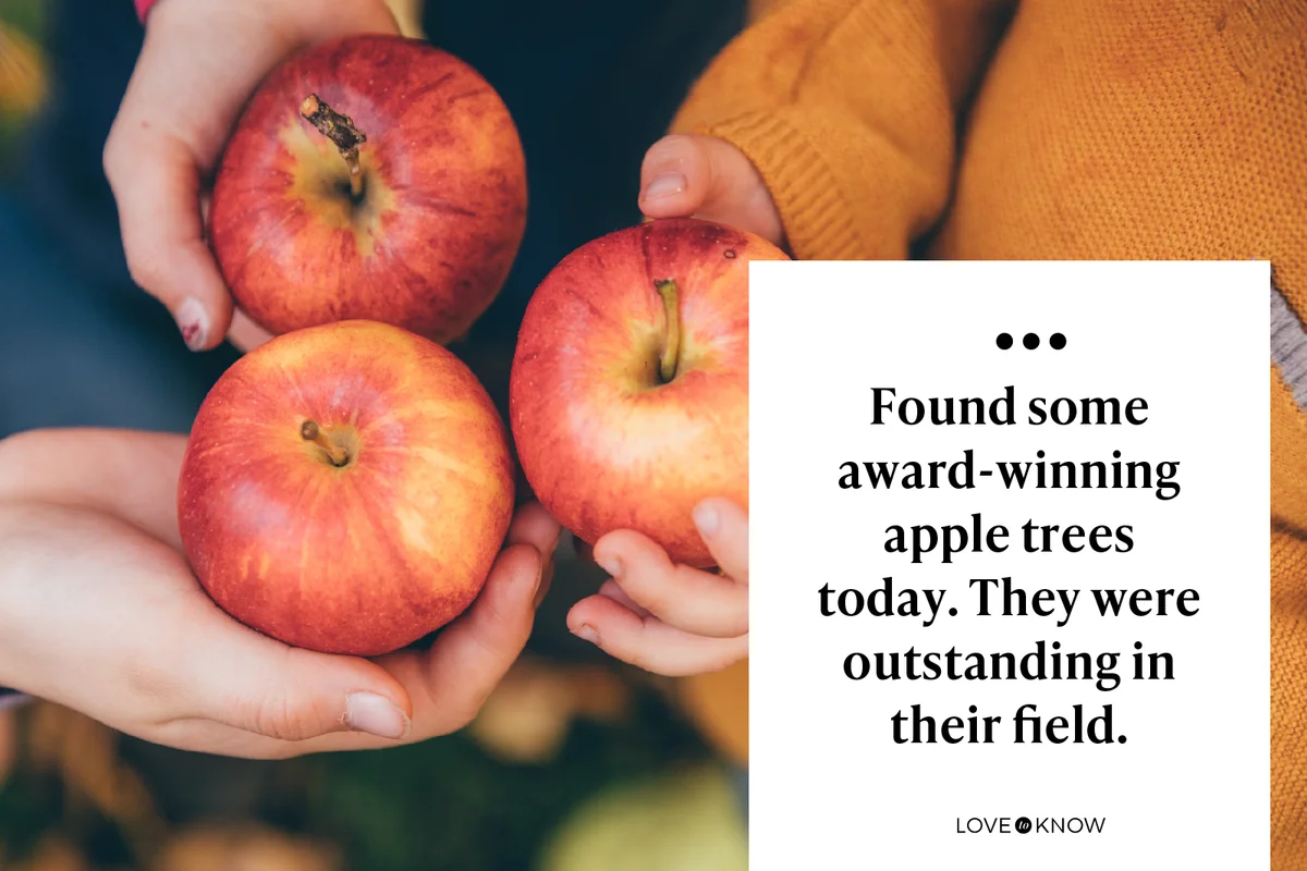 Kids in an orchard holding red apples