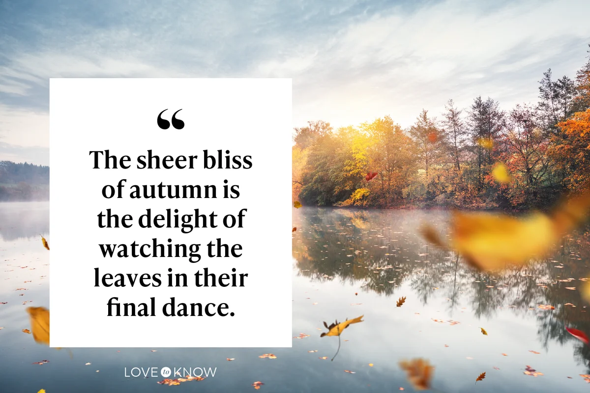Flying Autumn Leaves