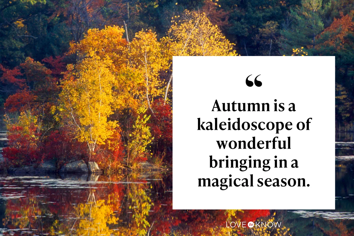 Autumn Pond