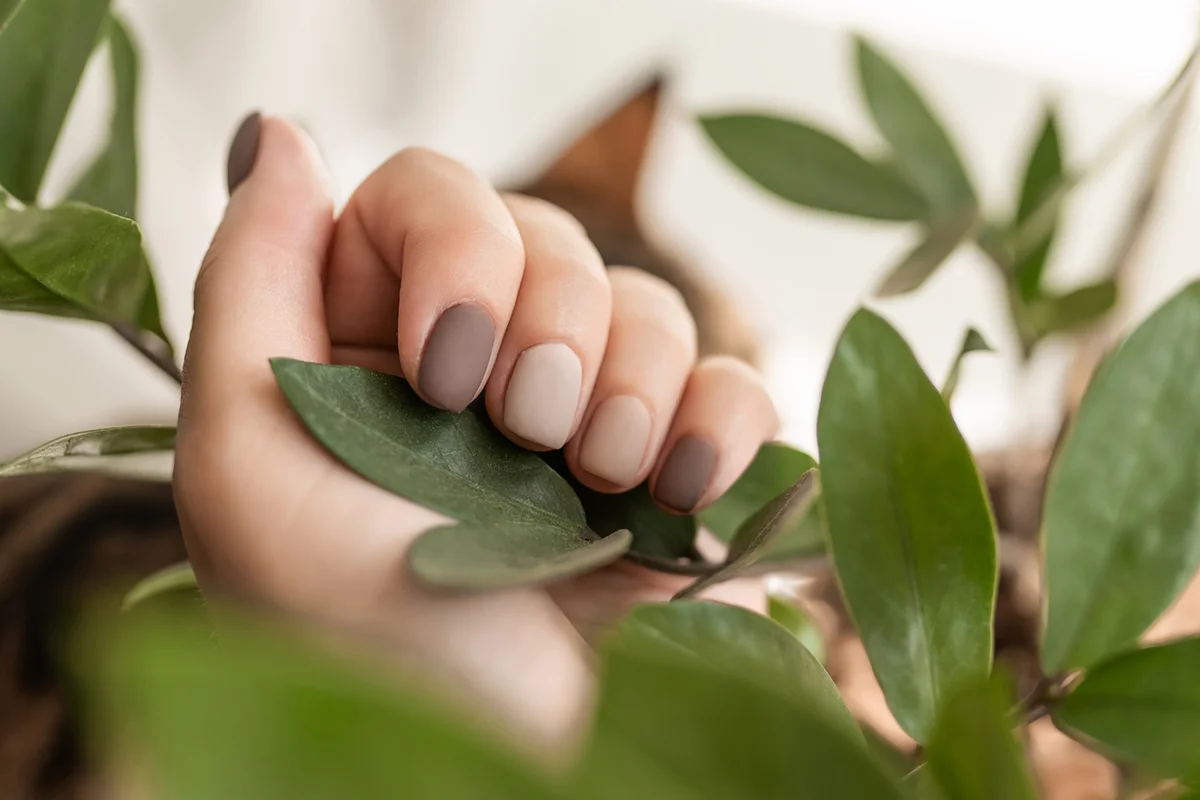 Hands with neat manicure
