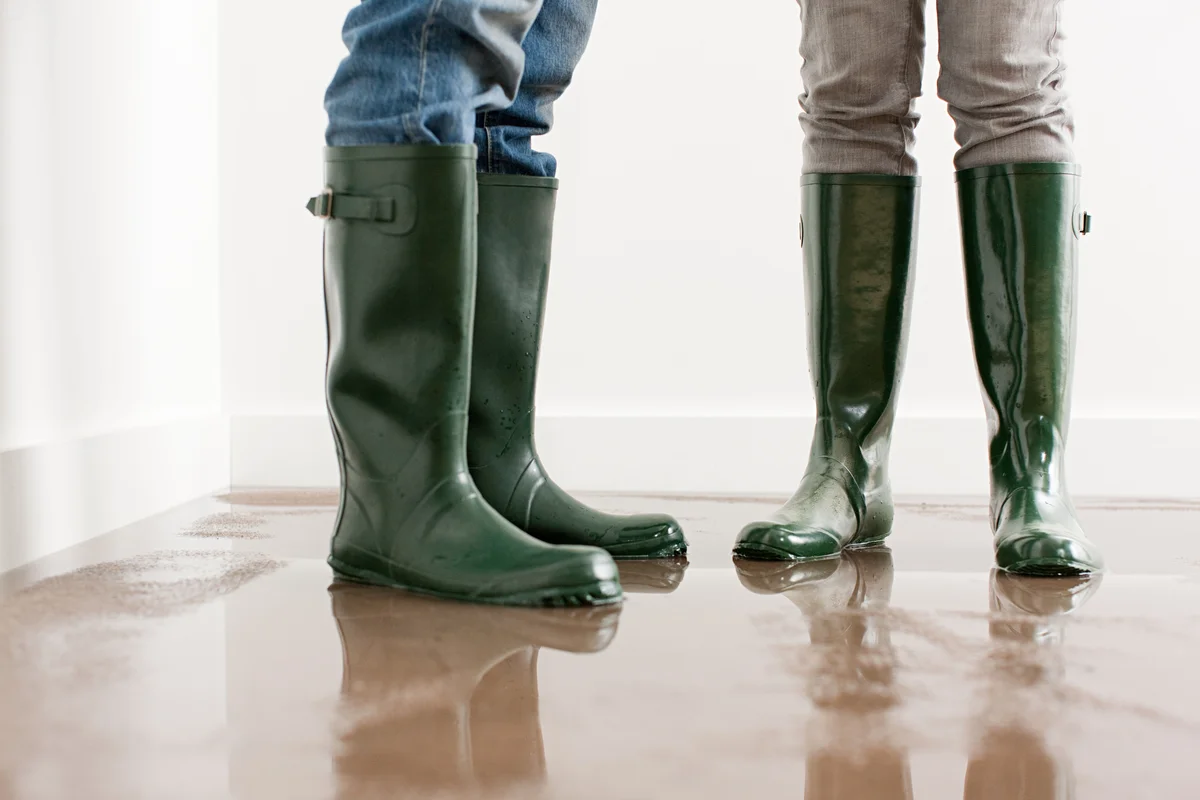 Wellies boots