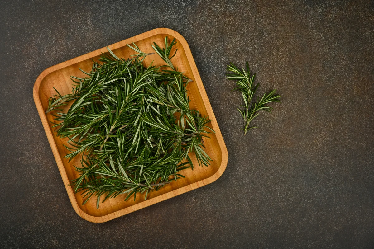 Plate of rosemary sprigs