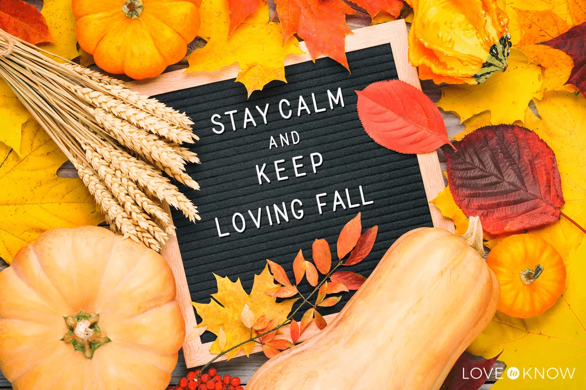Short Fall quotes