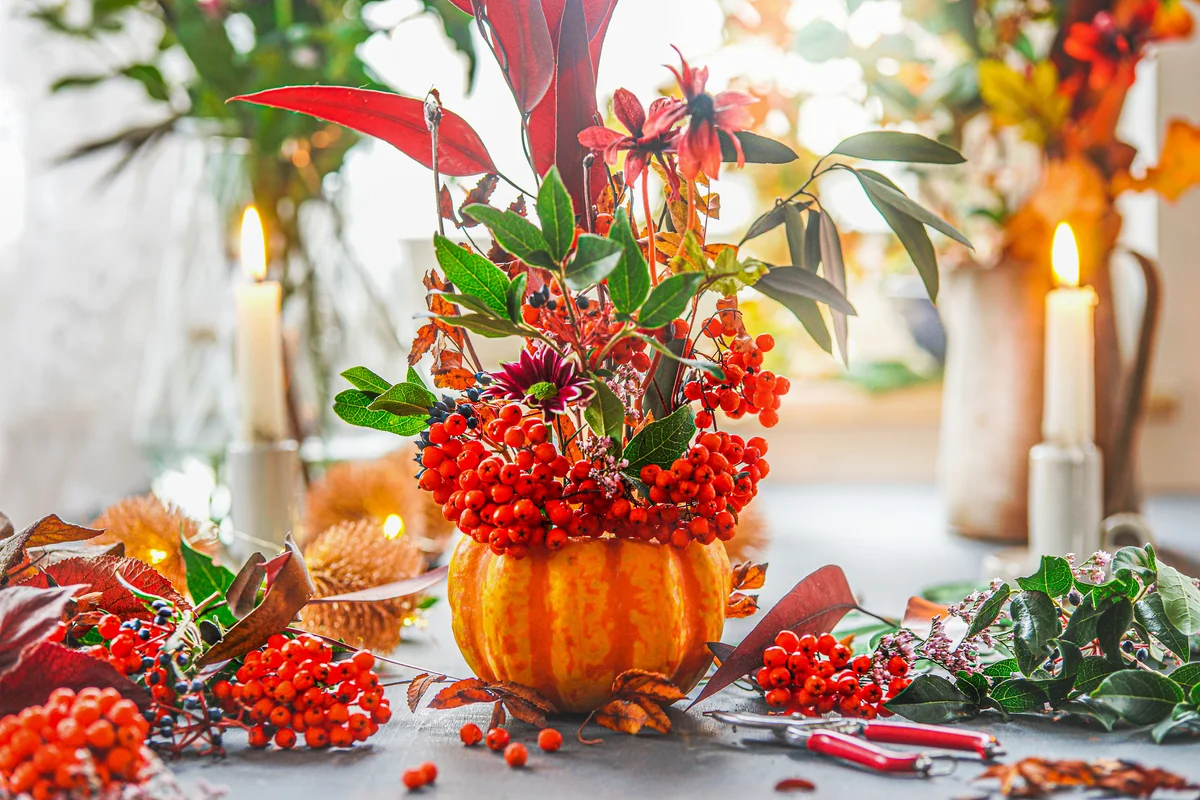 A pumpkin filled with orange floral arrangement