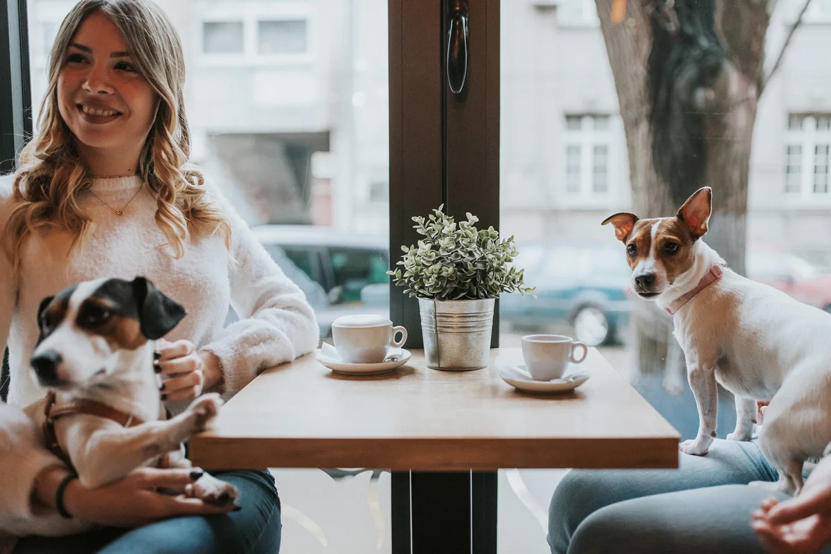 Two young girls with their dogs sit at a coffee shop and drink coffee