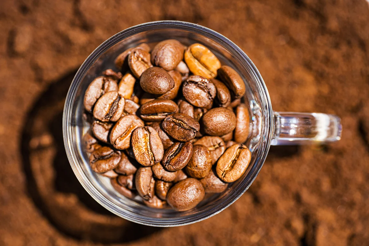 Roasted Coffee Beans in a glass cup on the background of the texture of ground coffee