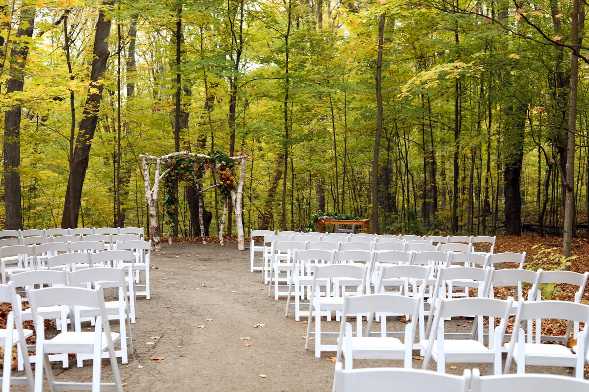 Wedding in an early fall forest