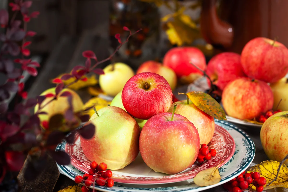 Beautiful plates of apples for centerpieces