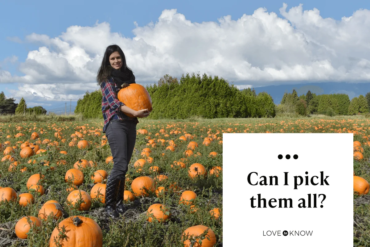 Can I pick them all?