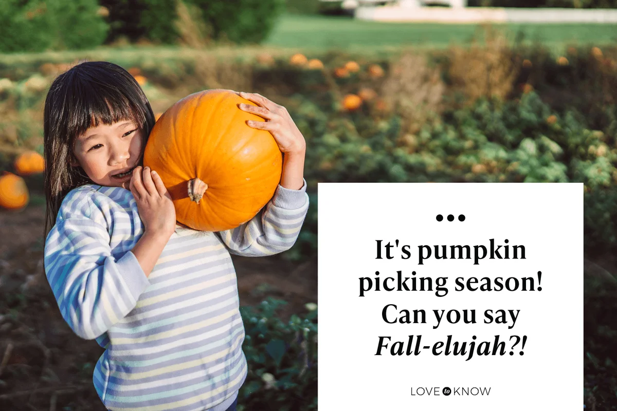 It's pumpkin picking season! Can you say Fall-elujah?!