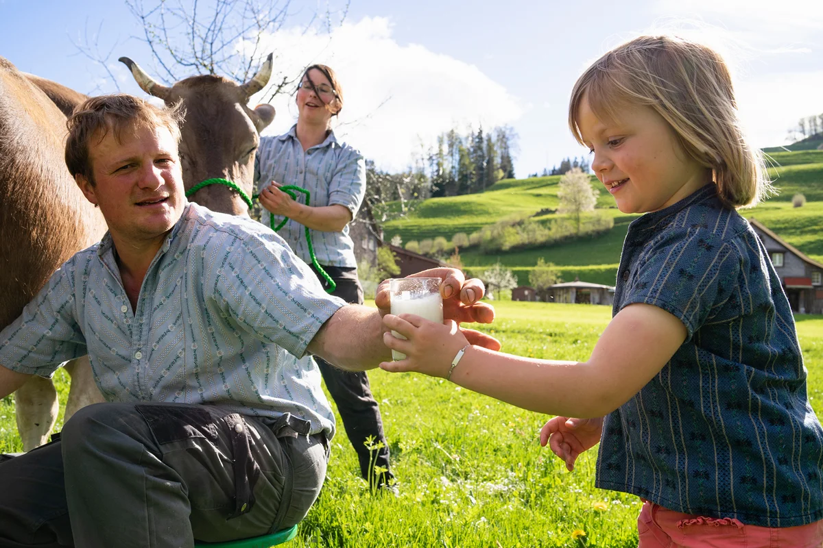 Farmer giving his daughter a glass of fresh milk from a cow on pasture