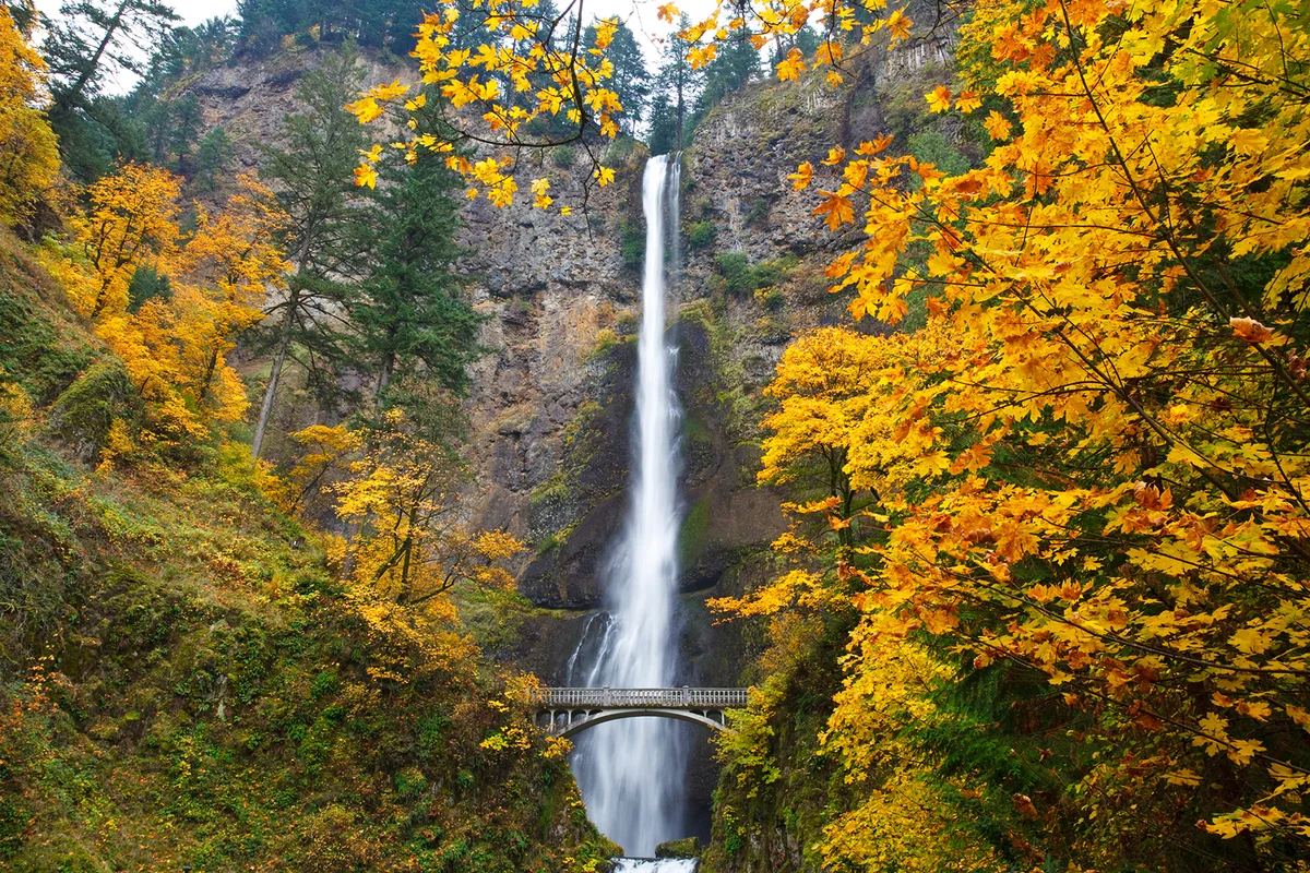 Multnomah Falls in the Columbia River Gorge