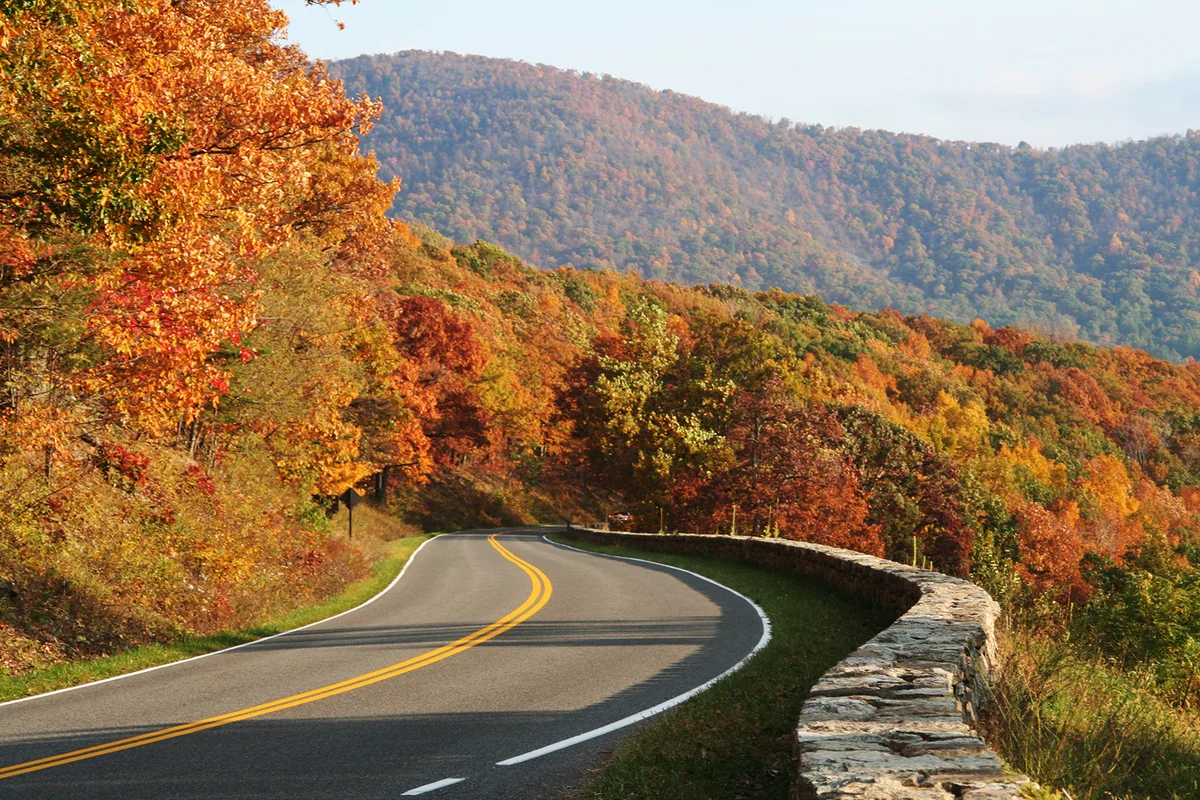 Winding road in Shenandoah National Park in Virginia