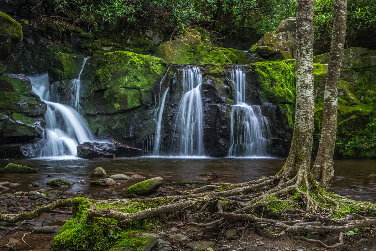 Scenic View Of Waterfall In Forest, Gatlinburg