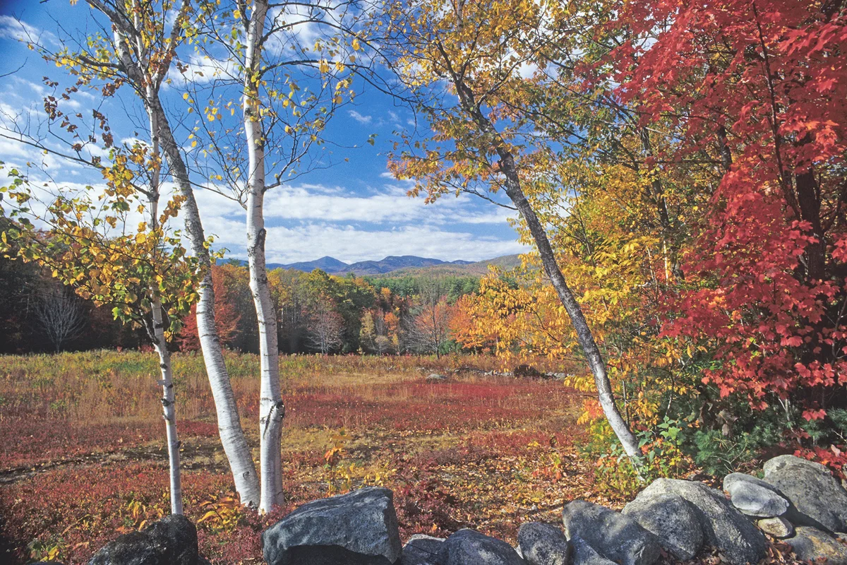 View of the White Mountains