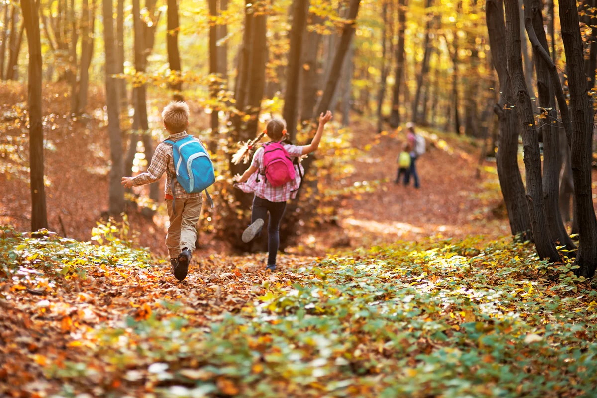Kids running in autumn beech forest
