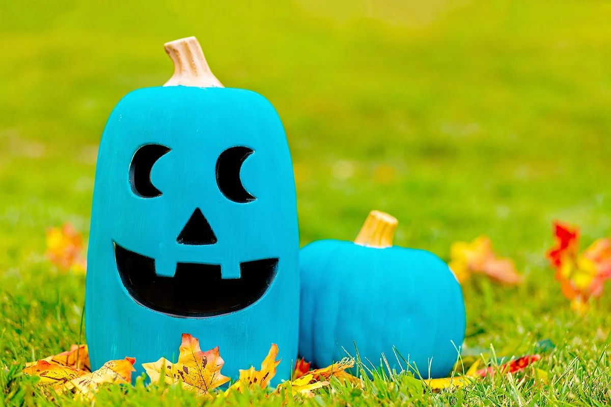 Two teal pumpkins outside