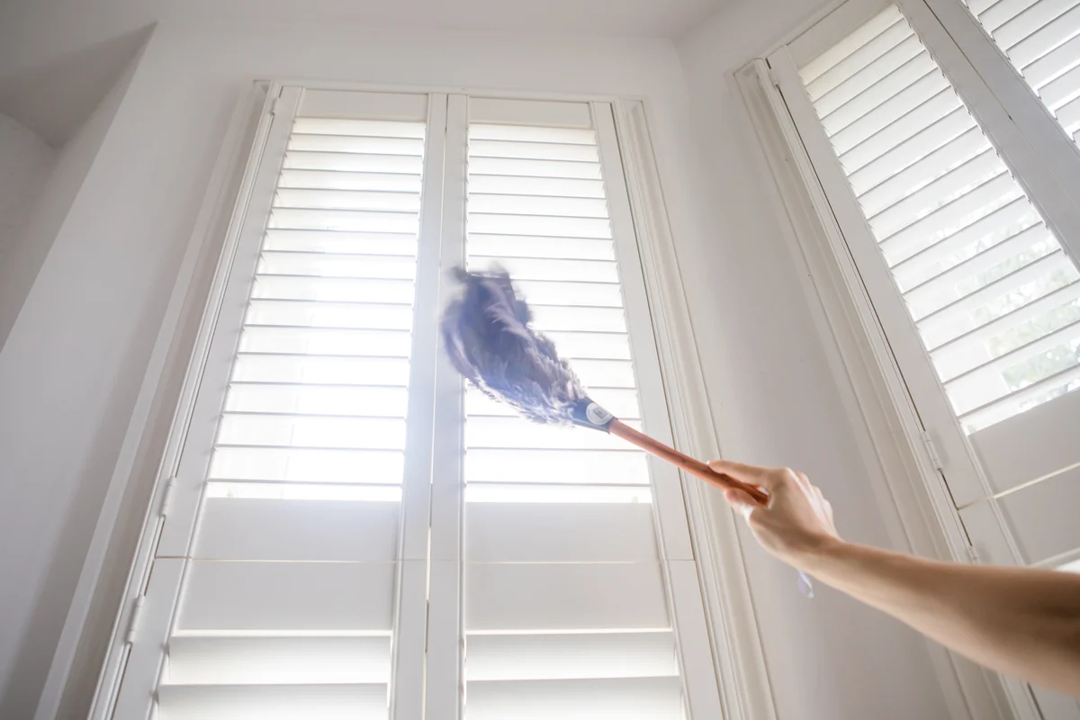 dusting shutters