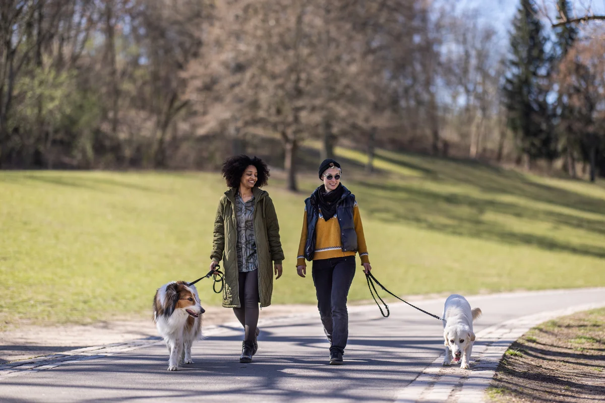 Women walking their dogs
