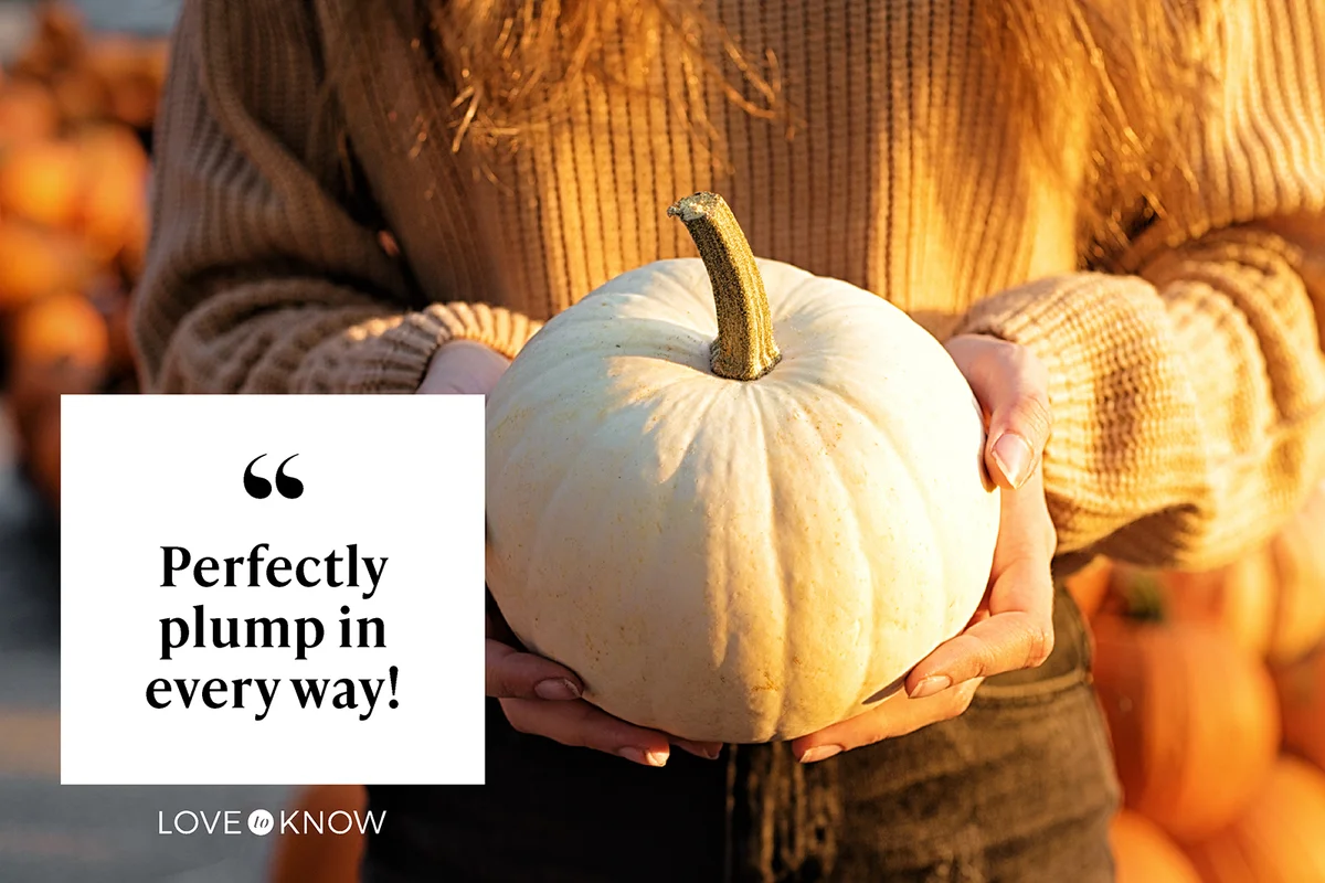 Young woman holding a white pumpkin on a pumpkin patch