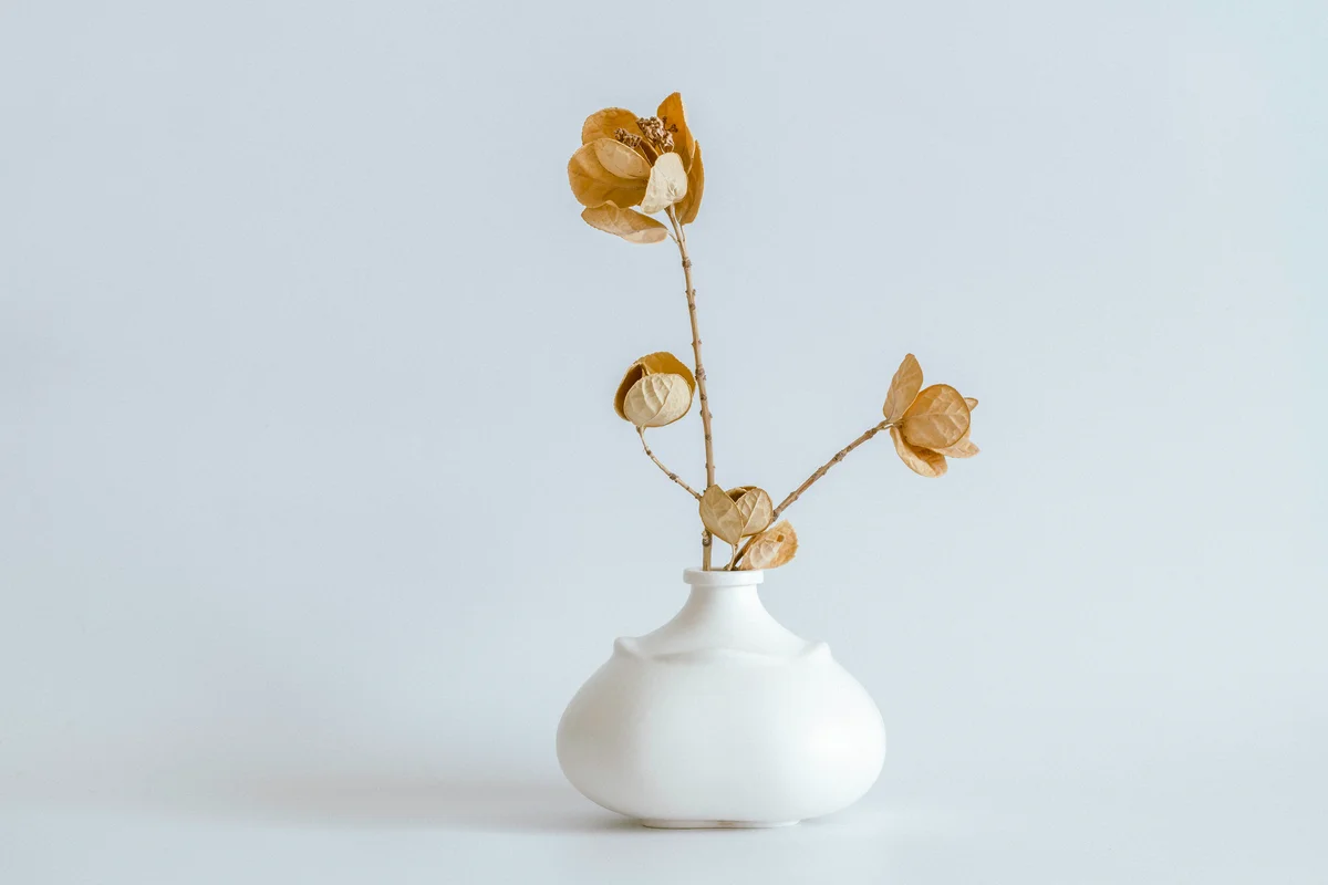Dried flowers in stylish ceramic vase