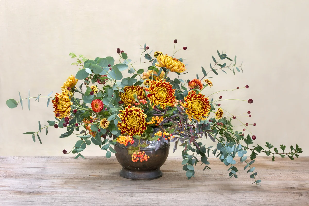 Chrysanthemum arrangement
