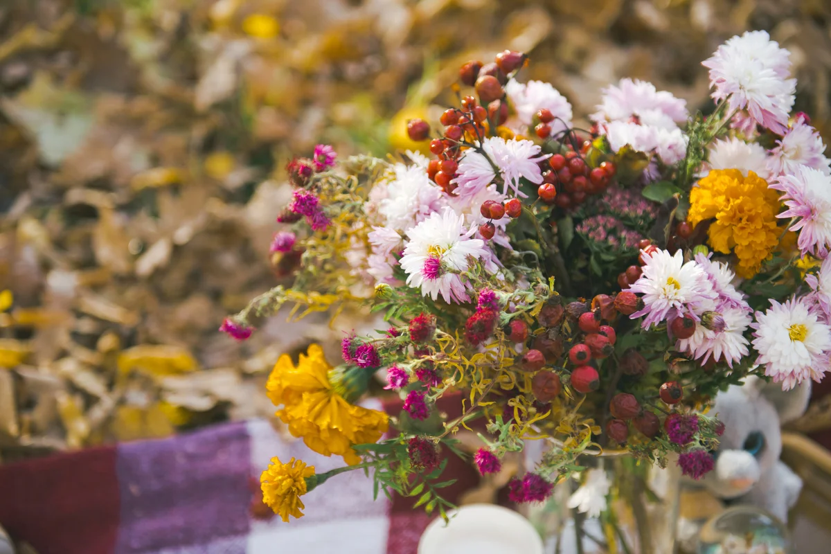 Autumn bouquet with berries
