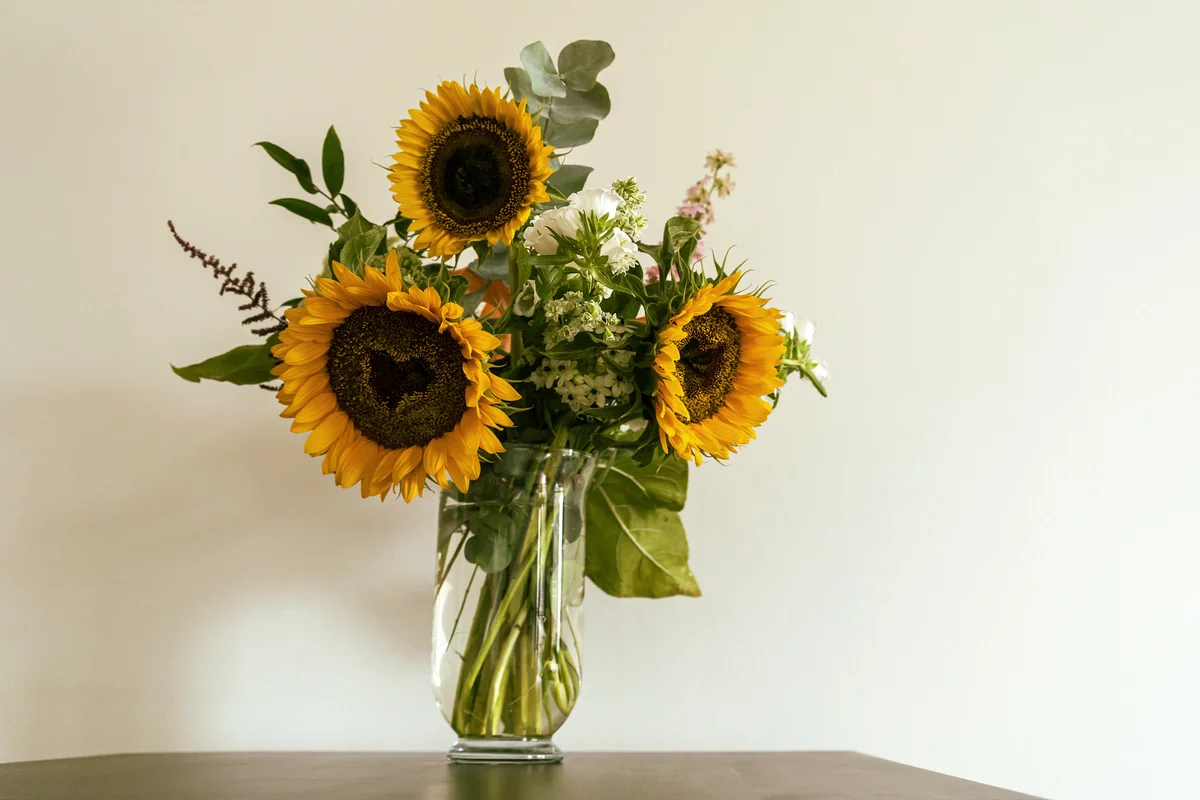 Sunflowers in glass vase on table