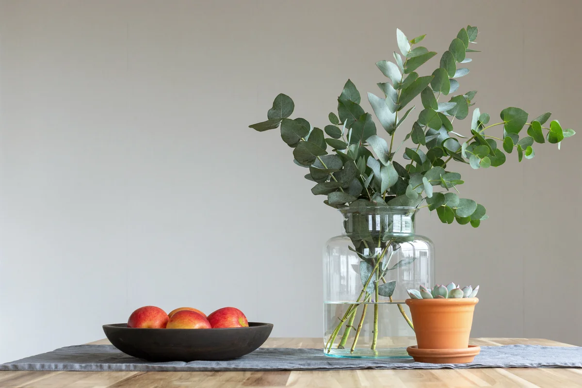 Eucalyptus Arrangement