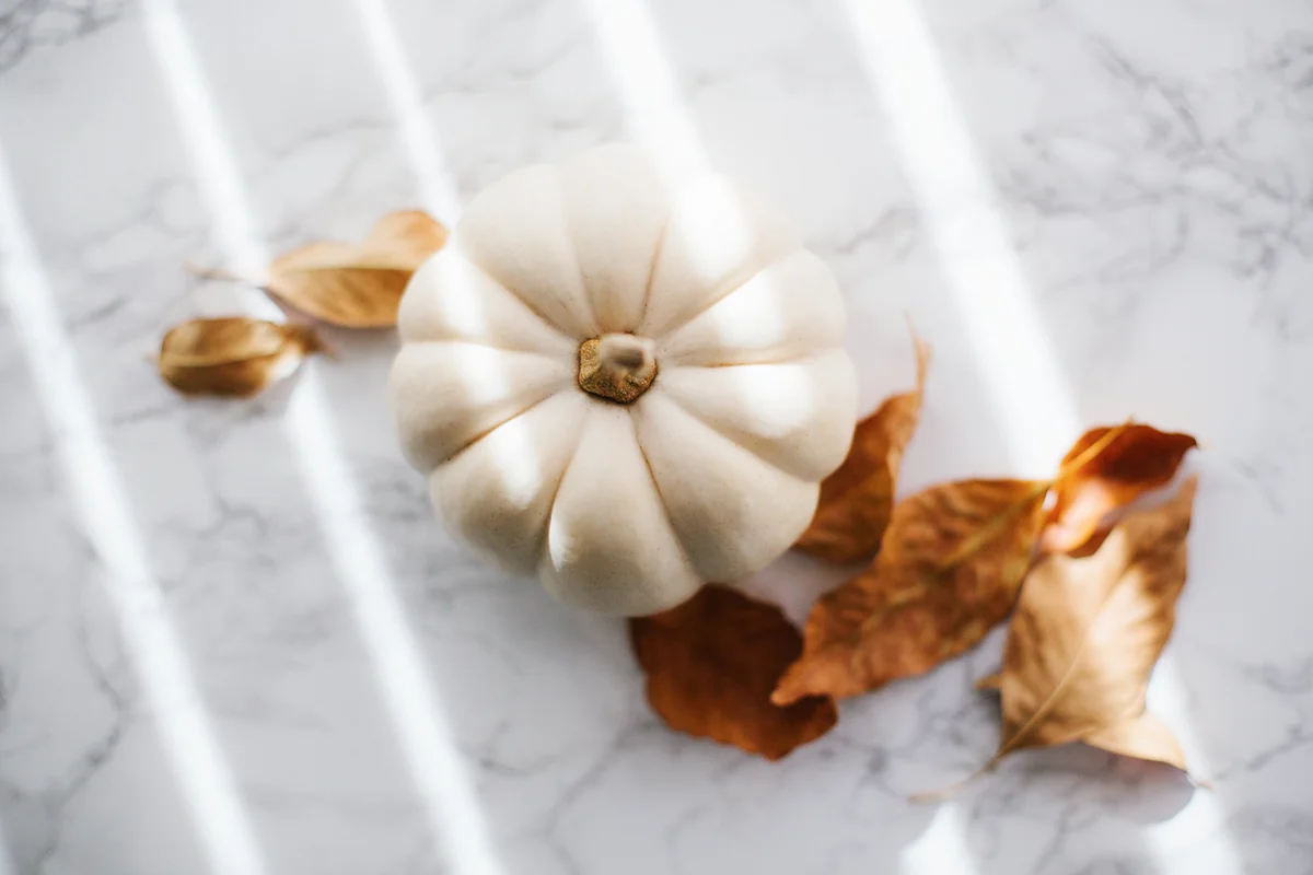 White Pumpkin and Dry Leaves
