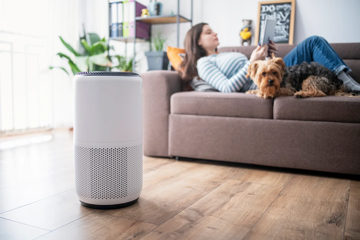 woman setting up an air purifier