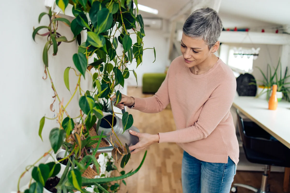 woman watering plants