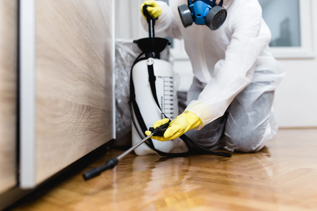 exterminator