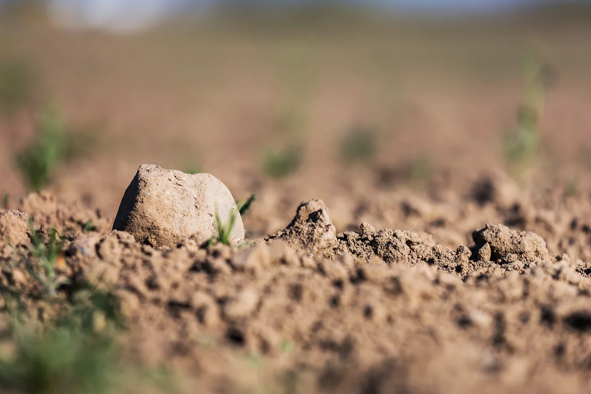 Stone on a weeded field