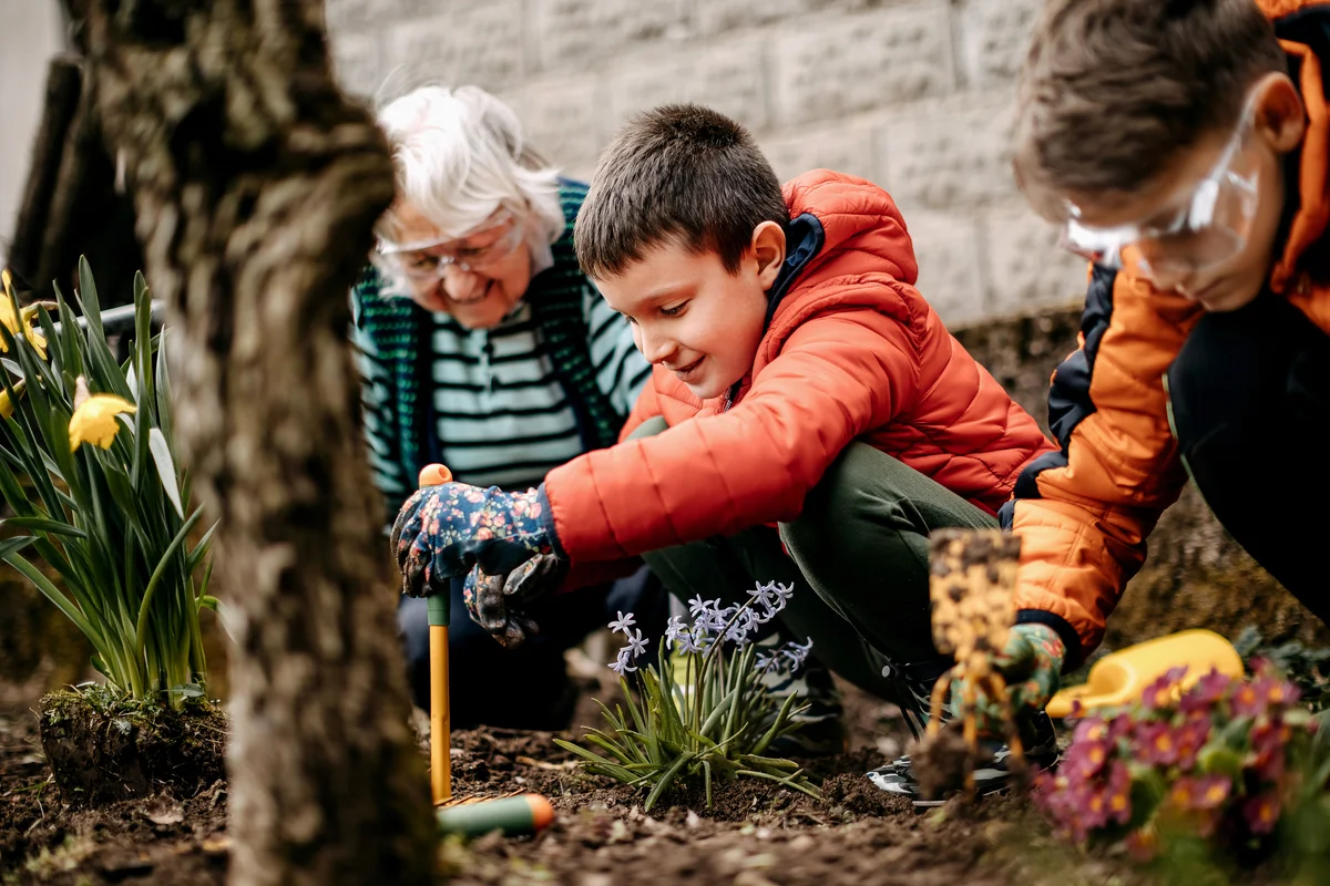 Young boys helping an elderly woman in her garden