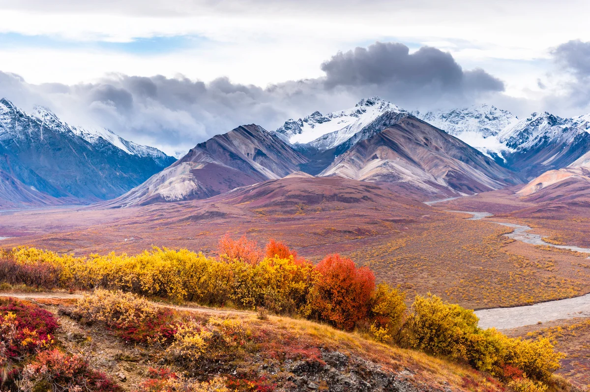 Denali National Park