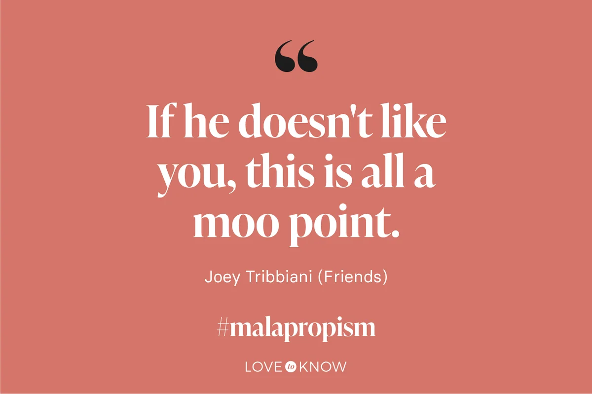 "If he doesn't like you, this is all a moo point." - Joey Tribbiani (Friends)